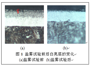 鹽霧試驗(yàn)白亮層對比